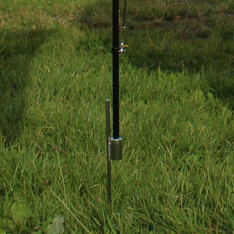 Basis Tarus