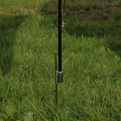 Basis Tarus